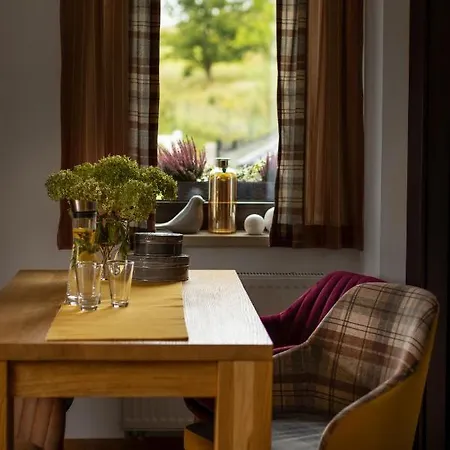 Apartamento U Harrego I Przy Stawie Z Klimatyzacja, Balia, Sauna, Ogrodem I Parkingiem *