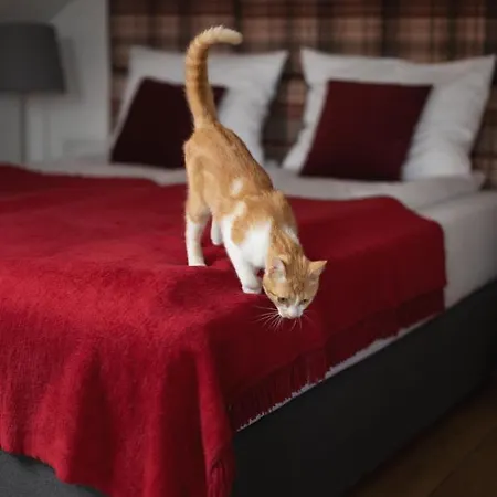 U Harrego I Przy Stawie Z Klimatyzacja, Balia, Sauna, Ogrodem I Parkingiem Apartamento