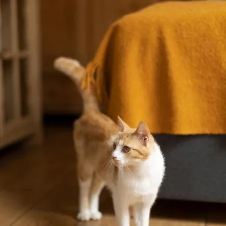 U Harrego I Przy Stawie Z Klimatyzacja, Balia, Sauna, Ogrodem I Parkingiem