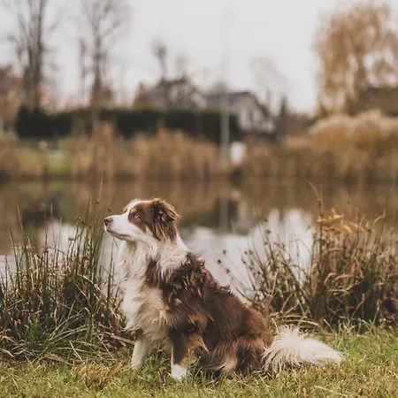 U Harrego I Przy Stawie Z Klimatyzacja, Balia, Sauna, Ogrodem I Parkingiem *