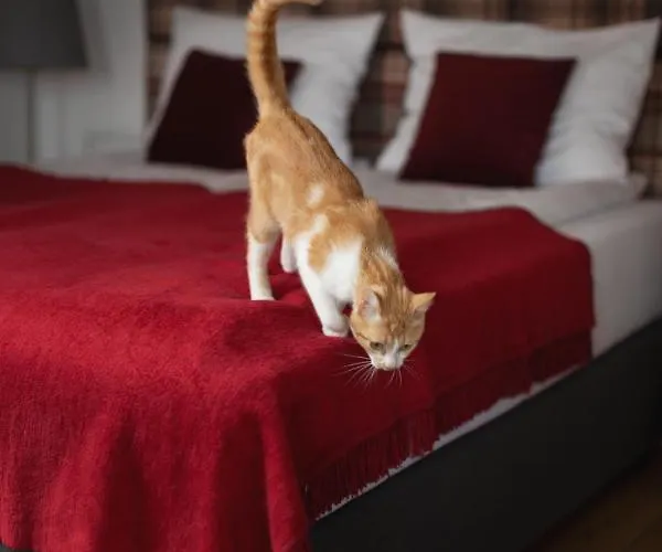 U Harrego I Przy Stawie Z Klimatyzacja, Balia, Sauna, Ogrodem I Parkingiem Appartamento