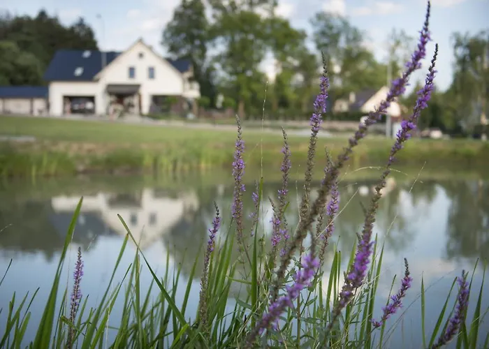 U Harrego I Przy Stawie Z Klimatyzacja, Balia, Sauna, Ogrodem I Parkingiem Lejlighed Kudowa-Zdrój